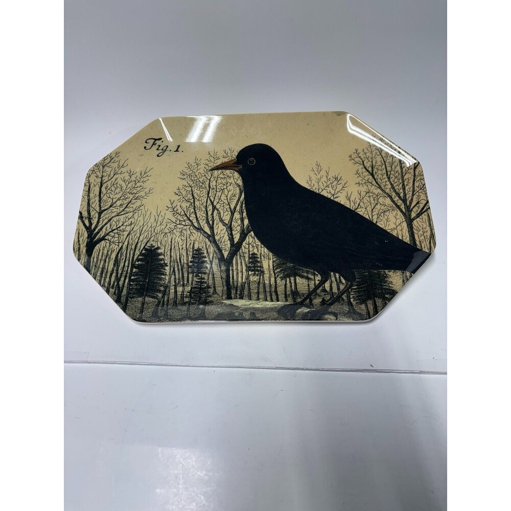 John Derian 15"x 10" Crow Raven Bird Melamine Octagon Serving Platter Tray HTF
